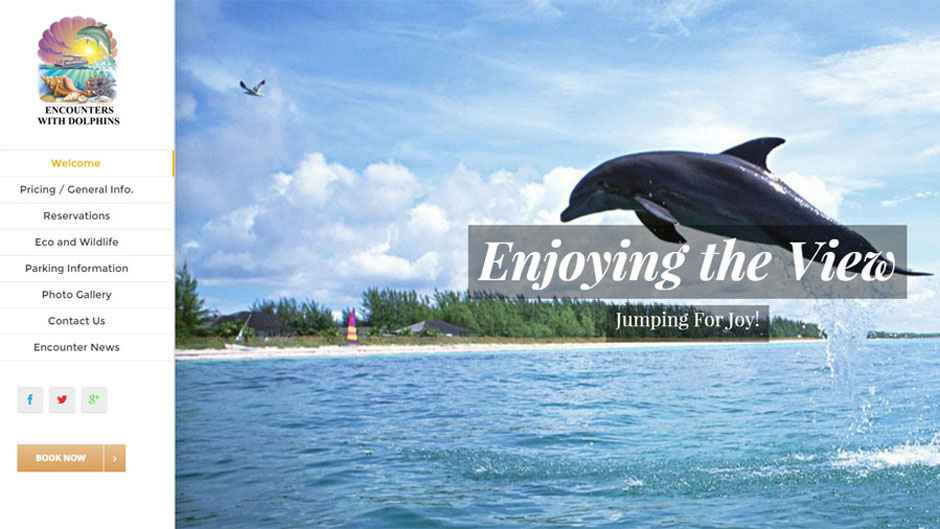 Encounter With Dolphins website home page